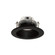 Retrofit Baffle in Black (167|NLCBC2452TWBB10)