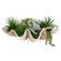 Seaside Breeze Succulents in Natural (52|60233)