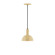 Ray One Light Pendant in Barn Red (518|PEBX456G1555C11)