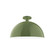 Ray One Light Flush Mount in Fern Green (518|FMDX47222)