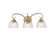 Audra Three Light Vanity in Brushed Champagne Bronze (62|6952BA3BCBCLR)