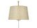 Ryleigh One Light Swing Arm in Brushed Champagne Brass (62|3694A1WBCBNS)