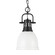 Duncan One Light Pendant in Matte Black (62|3602SBLKWHT)