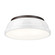 Duncan Two Light Flush Mount in Rubbed Bronze (62|360214RBZWH)