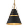 Springfield One Light Pendant in Dark Matte Black (7|3933876)