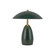 Poppy LED Table Lamp in Pine Green (452|TL437409PGN)