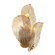 Orchid Three Light Wall Sconce in Legacy Brass (29|N2213A732)