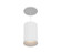 Whiskey LED Pendant in White (40|WHSSU02BR6022635WCL)