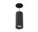 Whiskey LED Pendant in Black (40|WHSSU01BR10011327NCL)
