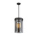 Dahlia Three Light Pendant in Black (78|AC10051BK)