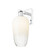Arcadia One Light Wall Sconce in Polished Chrome (405|7161WPCG4847OP)