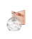 Arcadia One Light Wall Sconce in Antique Copper (405|7161WACG12136CL)
