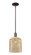 Arcadia One Light Mini Pendant in Oil Rubbed Bronze (405|7161SOBG5598ME)