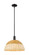 Arcadia One Light Mini Pendant in Matte Black (405|7161SBKNBD216NAT)