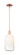 Arcadia One Light Mini Pendant in Antique Copper (405|7161SACG4827OP)
