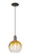 Arcadia One Light Mini Pendant in Oil Rubbed Bronze (405|7161POBG4838AM)