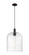 Arcadia One Light Mini Pendant in Matte Black (405|7161PBKG55912SDY)