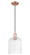 Arcadia One Light Mini Pendant in Antique Copper (405|7161PACG5598SDY)