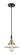 Caden One Light Mini Pendant in Black Antique Brass (405|4471PBABG1)