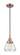 Caden One Light Pendant in Antique Copper (405|4471PACG172)