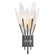 Nerine LED Wall Sconce in Brushed Graphite (138|FR43100BGR)