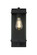 Julien One Light Outdoor Wall Sconce in Black (173|OD408W15BK)
