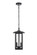 Thayer Two Light Outdoor Pendant in Black (173|OD327H17BK) Thayer Two Light Outdoor Pendant in Black (173|OD327H17BK)