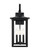Carisle Three Light Outdoor Wall Sconce in Black (173|OD325W20BK)