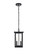 Venango Two Light Outdoor Pendant in Black (173|OD324H14BK)