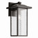 Capanna One Light Outdoor Wall Mount in Olde Bronze (12|49928OZ)