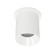 Zoron LED Flush Mount in White/White (34|C4RTFCSWTWT)