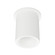 Zoron LED Flush Mount in Arc White (34|C4RTFCSPWT)