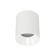 Zoron LED Flush Mount in White/White (34|C4RLFCSWTWT)
