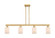 Arcadia Four Light Island Pendant in Brushed Brass (405|7164IBBG341)