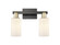 Arcadia Two Light Bath Vanity in Black Antique Brass (405|7162WBABG801)