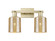 Arcadia Two Light Bath Vanity in Antique Brass (405|7162WABG116)