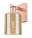 Arcadia One Light Wall Sconce in Antique Copper (405|7161WACG116)
