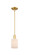 Arcadia One Light Mini Pendant in Satin Gold (405|7161SSGG341)