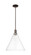Arcadia One Light Mini Pendant in Oil Rubbed Bronze (405|7161SOBGBC162)