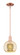 Arcadia One Light Mini Pendant in Antique Copper (405|7161SACG1288)