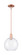 Arcadia One Light Mini Pendant in Antique Copper (405|7161SACG12210)