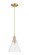 Arcadia One Light Mini Pendant in Champagne Bronze (405|7161PCBGBC82)