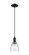 Arcadia One Light Mini Pendant in Matte Black (405|7161PBKG442)