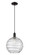 Arcadia One Light Mini Pendant in Matte Black (405|7161PBKG121312CL)