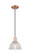 Arcadia One Light Mini Pendant in Antique Copper (405|7161PACG422)