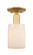 Arcadia One Light Semi-Flush Mount in Satin Gold (405|7161CSGG341)