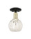 Arcadia One Light Semi-Flush Mount in Black Antique Brass (405|7161CBABG12166WM)