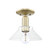 Arcadia One Light Semi-Flush Mount in Antique Brass (405|7161CABG132)