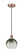 Edison One Light Mini Pendant in Antique Copper (405|6161PACG4838SL)
