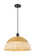 Ballston One Light Mini Pendant in Matte Black (405|5161PBKNBD216NAT)